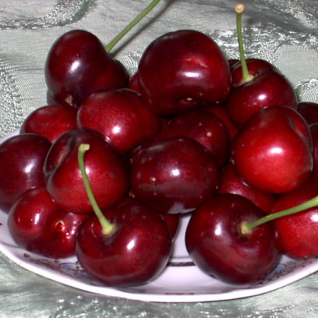 Черешня Великоплідна (Дворічний, ГКС)