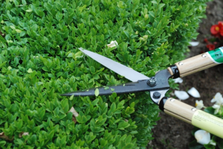 Садовые ножницы для живой изгороди Okatsune (KST216)