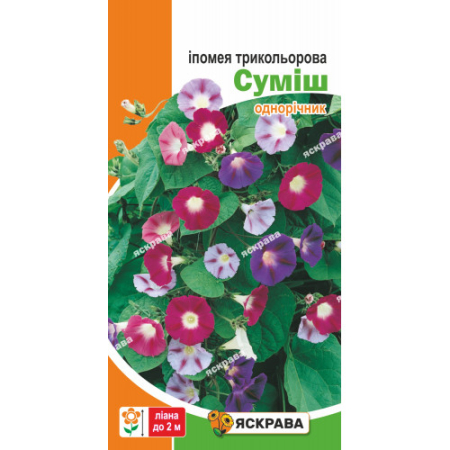 Семена Ипомея  трёхцветная смесь 1 г