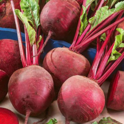 Семена Свекла Винегретная 20 г