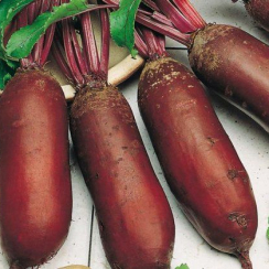 Семена Свекла Опольская 3 г