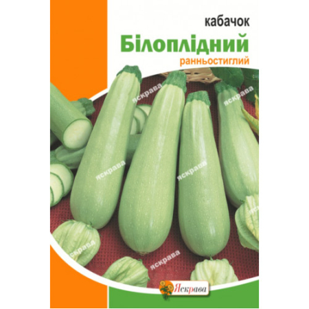 Семена Кабачок  Белоплодный 20 г