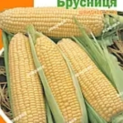 Семена Кукуруза  Сахарная Брусника 20 г