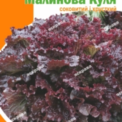 Семена Салат Малиновый шар семена 20 г.