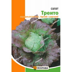 Семена Салат Тренто красный 1 г