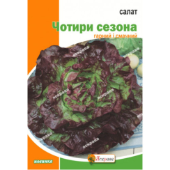 Семена Самшит Четыре сезона 10 г
