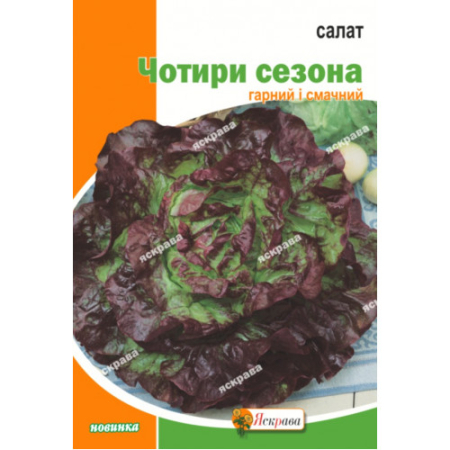 Семена Самшит Четыре сезона 10 г