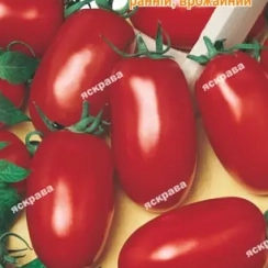 Семена Томат  Красный охотник 0,1 г