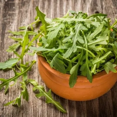 Семена Руккола  30 г